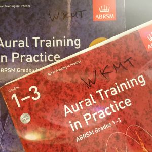 Aural training in practice