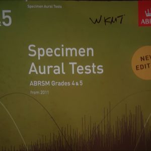 perfecting your aural skills