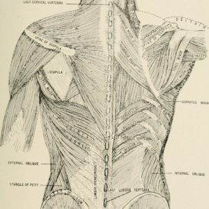 A helpful piece of advice about body posture on the piano