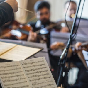 What are the ingredients of the Music?